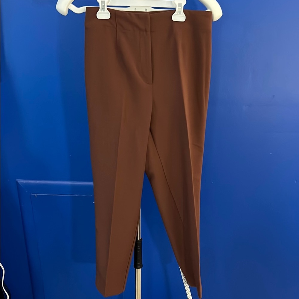 Ann Taylor Chic Brown Trousers